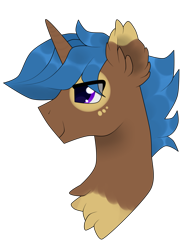 Size: 1509x1961 | Tagged: safe, artist:kaikururu, imported from derpibooru, oc, oc only, pony, unicorn, chest fluff, ear fluff, horn, male, simple background, smiling, solo, stallion, transparent background, unicorn oc