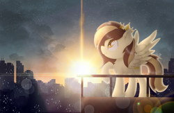 Size: 2000x1300 | Tagged: safe, artist:jadebreeze115, imported from derpibooru, oc, oc only, oc:prince whateverer, pegasus, pony, balcony, city, cityscape, lens flare, solo, spread wings, sunrise, wings