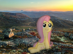 Size: 1200x900 | Tagged: safe, imported from derpibooru, fluttershy, pegasus, pony, floppy ears, folded wings, gritted teeth, irl, looking up, mountain, mountain range, nature, photo, ponies in real life, sitting, smiling, sundown, wings