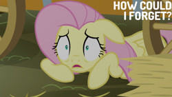 Size: 1280x720 | Tagged: safe, edit, edited screencap, editor:quoterific, imported from derpibooru, screencap, fluttershy, pegasus, pony, scare master, season 5, female, floppy ears, mare, open mouth, shrunken pupils, solo