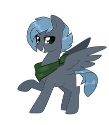 Size: 761x867 | Tagged: safe, artist:kaikururu, imported from derpibooru, oc, oc only, pegasus, pony, dreamworks face, grin, male, neckerchief, pegasus oc, raised hoof, simple background, smiling, solo, stallion, transparent background, wings