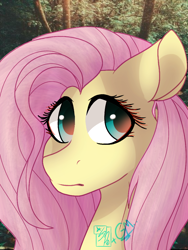 Size: 768x1024 | Tagged: safe, artist:greenmarta, artist:sketchykohaidraws, imported from derpibooru, fluttershy, pegasus, pony, bust, cute, daaaaaaaaaaaw, female, shyabetes, solo