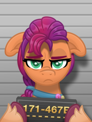 Size: 3000x4000 | Tagged: safe, alternate version, artist:sol-r, imported from derpibooru, sunny starscout, earth pony, pony, floppy ears, g5, grumpy, mugshot, my little pony: a new generation, solo, sunny starscout is not amused