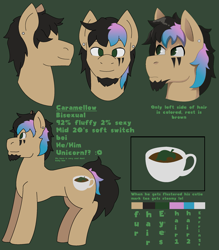 Size: 2013x2299 | Tagged: safe, artist:brushwork, imported from derpibooru, oc, oc:caramello, pony, reference sheet