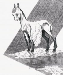 Size: 842x1000 | Tagged: safe, artist:adeptus-monitus, imported from derpibooru, oc, oc only, pegasus, pony, puddle, rain, solo, water, wet, wet mane, wings, wings down