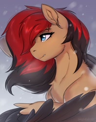 Size: 984x1246 | Tagged: safe, artist:nightskrill, imported from derpibooru, oc, oc only, pegasus, pony, solo