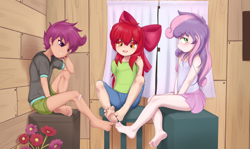 Size: 3730x2218 | Tagged: safe, artist:pestil, imported from ponybooru, apple bloom, scootaloo, sweetie belle, human, clothes, cutie mark crusaders, feet, female, humanized, lolicon, underage