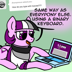 Size: 800x800 | Tagged: safe, artist:thedragenda, imported from derpibooru, oc, oc:ace, earth pony, pony, ask-acepony, computer, female, keyboard, laptop computer, lying down, mare, prone, solo