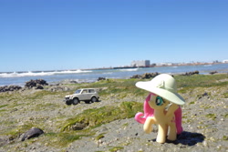 Size: 4608x3072 | Tagged: safe, artist:dingopatagonico, imported from derpibooru, fluttershy, pony, hat, irl, lada, photo, solo, toy