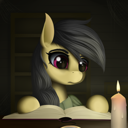 Size: 3000x3000 | Tagged: safe, artist:palibrik, imported from derpibooru, daring do, pegasus, pony, book, candle, female, high res, reading, solo