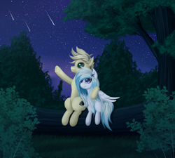 Size: 3000x2700 | Tagged: safe, artist:palibrik, imported from derpibooru, oc, oc only, pegasus, pony, duo, female, forest, high res, male, night, pegasus oc, shooting star, stargazing, tree