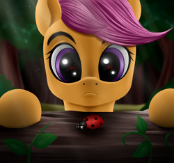 Size: 3200x3000 | Tagged: safe, artist:palibrik, imported from derpibooru, scootaloo, beetle, insect, ladybug, pegasus, pony, cute, cutealoo, female, filly, foal, forest, high res, solo, tree