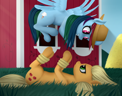 Size: 3800x3000 | Tagged: safe, artist:palibrik, imported from derpibooru, applejack, rainbow dash, earth pony, pegasus, pony, accessory theft, barn, bondage, duo, female, grass, high res, lying down, on back, rope, rope bondage