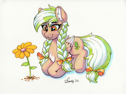 Size: 3581x2682 | Tagged: safe, artist:dandy, imported from derpibooru, oc, oc only, oc:sylvia evergreen, pegasus, pony, :3, braided pigtails, chest fluff, copic, ear fluff, female, flower, freckles, hair tie, lying down, marker drawing, pale belly, pegasus oc, solo, traditional art, white belly, wings