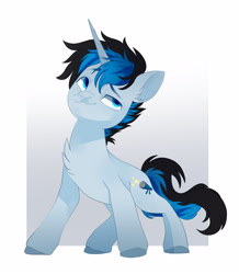 Size: 2454x2820 | Tagged: safe, artist:irusumau, imported from derpibooru, oc, oc only, oc:solar gizmo, pony, unicorn, abstract background, blue eyes, chest fluff, ear fluff, eyebrows, full body, high res, hooves, horn, male, passepartout, raised eyebrow, smug, solo, stallion, standing, tail, three quarter view, two toned mane, two toned tail, unicorn oc