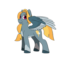 Size: 2828x2121 | Tagged: safe, artist:itstechtock, imported from derpibooru, oc, oc only, oc:autumn storm, pegasus, pony, coat markings, female, full body, high res, hooves, mare, offspring, parent:rainbow dash, parent:thunderlane, parents:thunderdash, partially open wings, pegasus oc, simple background, smiling, socks (coat markings), solo, standing, transparent background, wings