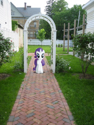 Size: 600x800 | Tagged: safe, artist:willyvwj, imported from derpibooru, rarity, pony, unicorn, female, irl, looking at you, photo, ponies in real life