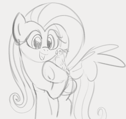 Size: 828x782 | Tagged: safe, artist:dotkwa, imported from derpibooru, fluttershy, bird, cockatiel, pegasus, pony, female, gray background, grayscale, mare, monochrome, open mouth, open smile, simple background, sketch, smiling, solo, spread wings, underhoof, wings