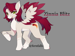 Size: 2604x1960 | Tagged: safe, artist:fernfalls, imported from derpibooru, oc, oc only, oc:zinnia blitz, pegasus, pony, coat markings, colored wings, ear fluff, eyebrows, eyebrows visible through hair, female, gray background, high res, hoof fluff, leg fluff, mare, open mouth, pegasus oc, simple background, socks (coat markings), solo, spread wings, standing, tail, wings