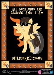 Size: 758x1054 | Tagged: safe, artist:strykarispeeder, imported from derpibooru, part of a set, wild fire, pegasus, pony, bipedal, female, mare, solo, sunglasses, twilightlicious, wildfirelicious