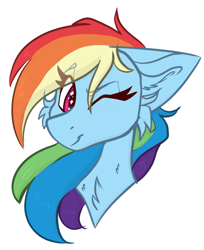 Size: 1113x1363 | Tagged: safe, artist:tizhonolulu, imported from derpibooru, rainbow dash, pegasus, pony, ear fluff, one eye closed, simple background, solo, white background, wink