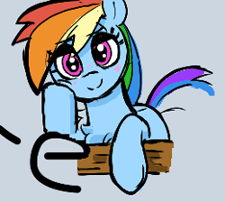 Size: 259x232 | Tagged: source needed, useless source url, safe, artist:_ton618_, rainbow dash, pegasus, pony, aggie.io, blushing, chest fluff, female, looking at you, mare, simple background, smiling, solo