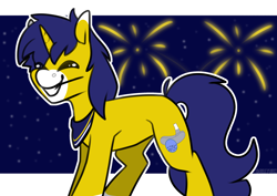 Size: 3508x2480 | Tagged: safe, artist:jellysketch, imported from derpibooru, oc, oc only, oc:seigwestwood, pony, unicorn, bandana, eyes closed, fireworks, happy new year, holiday, male, smiling, solo, stars