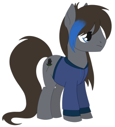 Size: 1672x1849 | Tagged: safe, alternate version, artist:dyonys, imported from derpibooru, oc, oc:shadow rose, earth pony, clothes, hoodie, male, simple background, stallion, transparent background