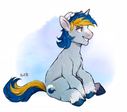 Size: 2048x1814 | Tagged: safe, artist:birdoffnorth, imported from derpibooru, oc, oc only, oc:ocean wave, pony, unicorn, abstract background, coat markings, full body, grin, horn, looking at something, male, no pupils, signature, sitting, smiling, socks (coat markings), solo, stallion, tail, two toned mane, two toned tail, unicorn oc, unshorn fetlocks
