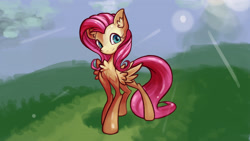 Size: 3840x2160 | Tagged: safe, artist:alexsavenije, imported from derpibooru, fluttershy, pegasus, pony, grass, grass field, solo, sunshine