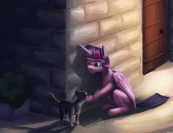 Size: 3250x2500 | Tagged: safe, artist:vezja, imported from derpibooru, twilight sparkle, alicorn, cat, pony, brick wall, crouching, door, female, horn, mare, petting, plant, sitting, street, twilight sparkle (alicorn), wings