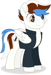 Size: 3335x4919 | Tagged: safe, artist:cirillaq, imported from derpibooru, oc, oc only, oc:soul beat, pegasus, pony, absurd resolution, clothes, folded wings, full body, glasses, hooves, male, multicolored mane, multicolored tail, pegasus oc, shadow, shirt, simple background, smiling, solo, stallion, standing, tail, three quarter view, transparent background, vector, wings