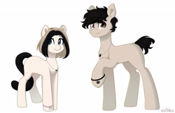 Size: 4096x2655 | Tagged: safe, artist:ev04ka, artist:ev04kaa, imported from derpibooru, oc, oc:aquarius, oc:eva, earth pony, pony, rcf community, reference sheet