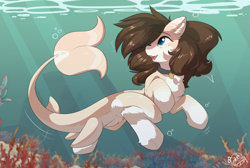 Size: 3313x2221 | Tagged: safe, artist:beardie, imported from derpibooru, oc, oc only, oc:retro hearts, original species, shark, shark pony, body markings, chest fluff, coat markings, collar, commission, coral, ear fluff, ear markings, facial markings, fluffy, freckles, leg fluff, looking back, open mouth, open smile, pale belly, smiling, socks (coat markings), solo, swimming, underwater