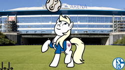 Size: 1280x720 | Tagged: safe, artist:jojodidu, imported from derpibooru, oc, oc only, oc:aryanne, earth pony, pony, ball, base used, blue eyes, clothes, earth pony oc, emblem, female, football, gelsenkirchen, germany, irl, looking up, nazi, nazipone, north rhine-westphalia, photo, ponies in real life, schalke 04, shirt, smiling, solo, sports, stadium