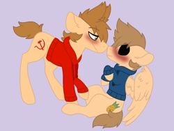 Size: 1024x768 | Tagged: safe, artist:scarecrowkitty, derpibooru exclusive, imported from derpibooru, earth pony, pegasus, pony, base used, black sclera, blushing, blushing profusely, boop, clothes, duo, duo male, eddsworld, floppy ears, gay, hoodie, imminent kissing, looking at each other, looking at someone, male, noseboop, ponified, purple background, simple background, smiling, tom (eddsworld), tomtord, tord (eddsworld)