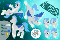 Size: 3600x2400 | Tagged: safe, artist:saxpony, imported from derpibooru, oc, oc:stormbreaker, pegasus, male, pegasus oc, reference sheet, stallion