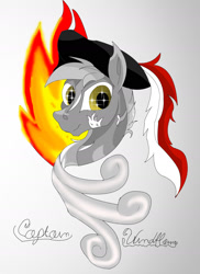 Size: 1275x1752 | Tagged: safe, artist:silbernepegasus, imported from derpibooru, oc, pegasus