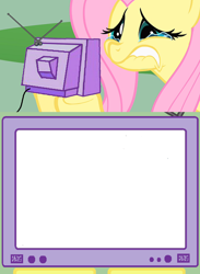 Size: 1126x1542 | Tagged: safe, imported from derpibooru, fluttershy, pegasus, pony, crying, exploitable meme, female, mare, meme, meme template, obligatory pony, simple background, solo, teary eyes, transparent background, tv meme