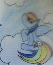 Size: 271x329 | Tagged: safe, artist:rosedawolfff, imported from derpibooru, rainbow dash, solo, traditional art