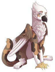 Size: 2900x3800 | Tagged: safe, artist:kikirdcz, imported from derpibooru, oc, oc:erin steele, griffon, simple background, solo, transparent background