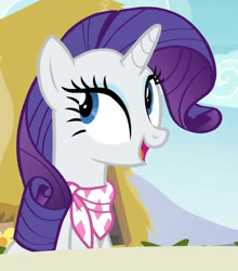 Size: 772x877 | Tagged: safe, imported from derpibooru, screencap, rarity, the end in friend, cropped, solo