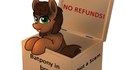 Size: 1920x1080 | Tagged: safe, artist:puginpocket, imported from derpibooru, oc, oc only, oc:scarfy bat-heart, earth pony, pony, box, brown mane, delivery, earth pony oc, female, green eyes, looking at you, mare, open mouth, open smile, pony in a box, scam, simple background, smiling, smiling at you, solo, white background