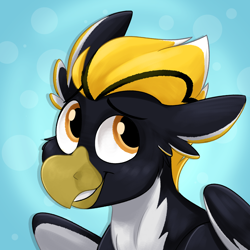 Size: 2500x2500 | Tagged: safe, artist:luximus17, imported from derpibooru, oc, oc only, oc:ping wing, hippogriff, abstract background, bust, high res, looking away, looking sideways, portrait, profile picture, smiling, solo, three quarter view, wings