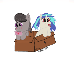 Size: 4291x3692 | Tagged: safe, artist:hunkster, imported from derpibooru, dj pon-3, octavia melody, vinyl scratch, earth pony, pony, unicorn, blushing, box, duo, duo female, female, high res, horn, lesbian, mare, mouth hold, open mouth, open smile, pony in a box, purple eyes, red eyes, scratchtavia, shipping, simple background, smiling, white background