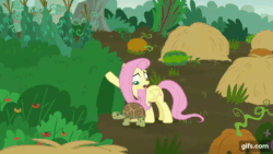 Size: 640x360 | Tagged: safe, imported from derpibooru, screencap, fluttershy, pegasus, pony, turtle, season 5, the hooffields and mccolts, animated, female, gif, gifs.com, male, mare, open mouth, smiling