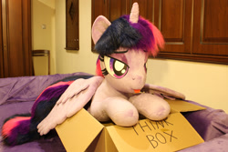 Size: 2425x1617 | Tagged: safe, artist:ponimalion, imported from derpibooru, twilight sparkle, alicorn, pony, unicorn, :p, bedroom eyes, behaving like a cat, box, cute, female, fluffy mane, fluffy tail, irl, mare, photo, plushie, pony in a box, solo, spread wings, tail, thinking, tongue out, twilight sparkle (alicorn), wings