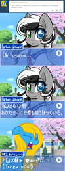 Size: 1280x3326 | Tagged: safe, artist:ask-cnpony, artist:furrgroup, imported from derpibooru, oc, oc:internet explorer, pony, ask internet explorer, browser ponies, cartoon network, cherry blossoms, flower, flower blossom, heterochromia, internet explorer, ponified