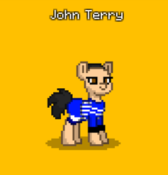 Size: 419x436 | Tagged: safe, imported from derpibooru, earth pony, pony, pony town, brown eyes, chelsea london, fooballer, football, full body, hooves, john terry, ponified, shadow, simple background, solo, sports, standing, yellow background