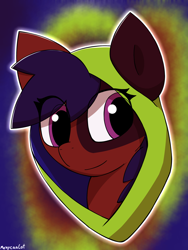 Size: 1768x2357 | Tagged: safe, artist:monycaalot, imported from derpibooru, oc, oc:mony caalot, earth pony, pony, abstract background, cap, hat, looking at you, solo, three quarter view